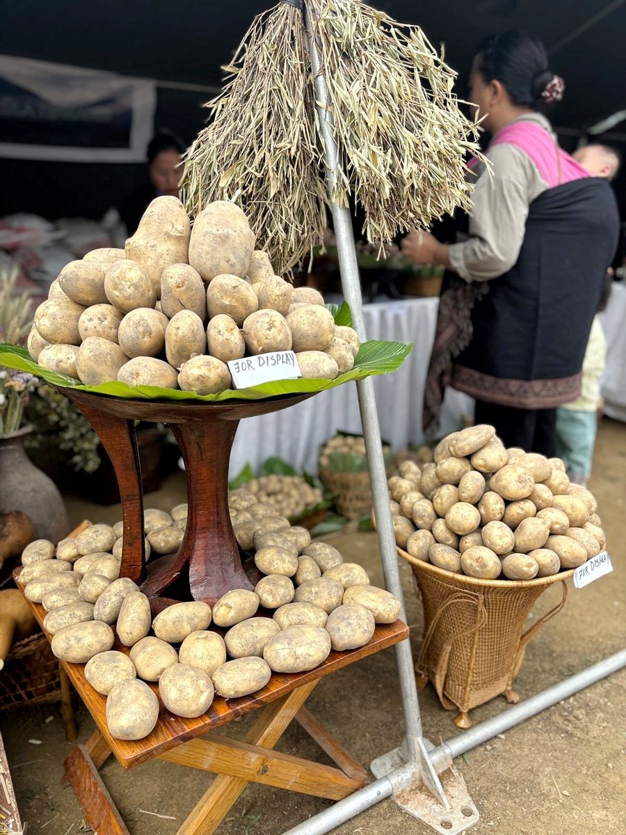 Organic and healthy. Nagaland's first ever Potato Festival held at Jakhama village in Kohima district on May 10, 2024 with a goal of celebrating the organic products of Nagaland.