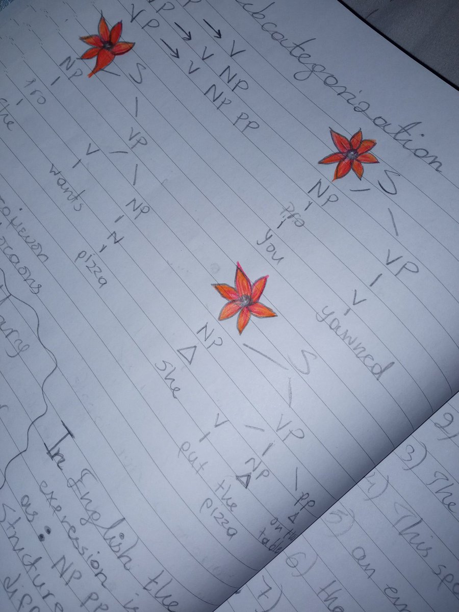 riss studies ✨ tweet media