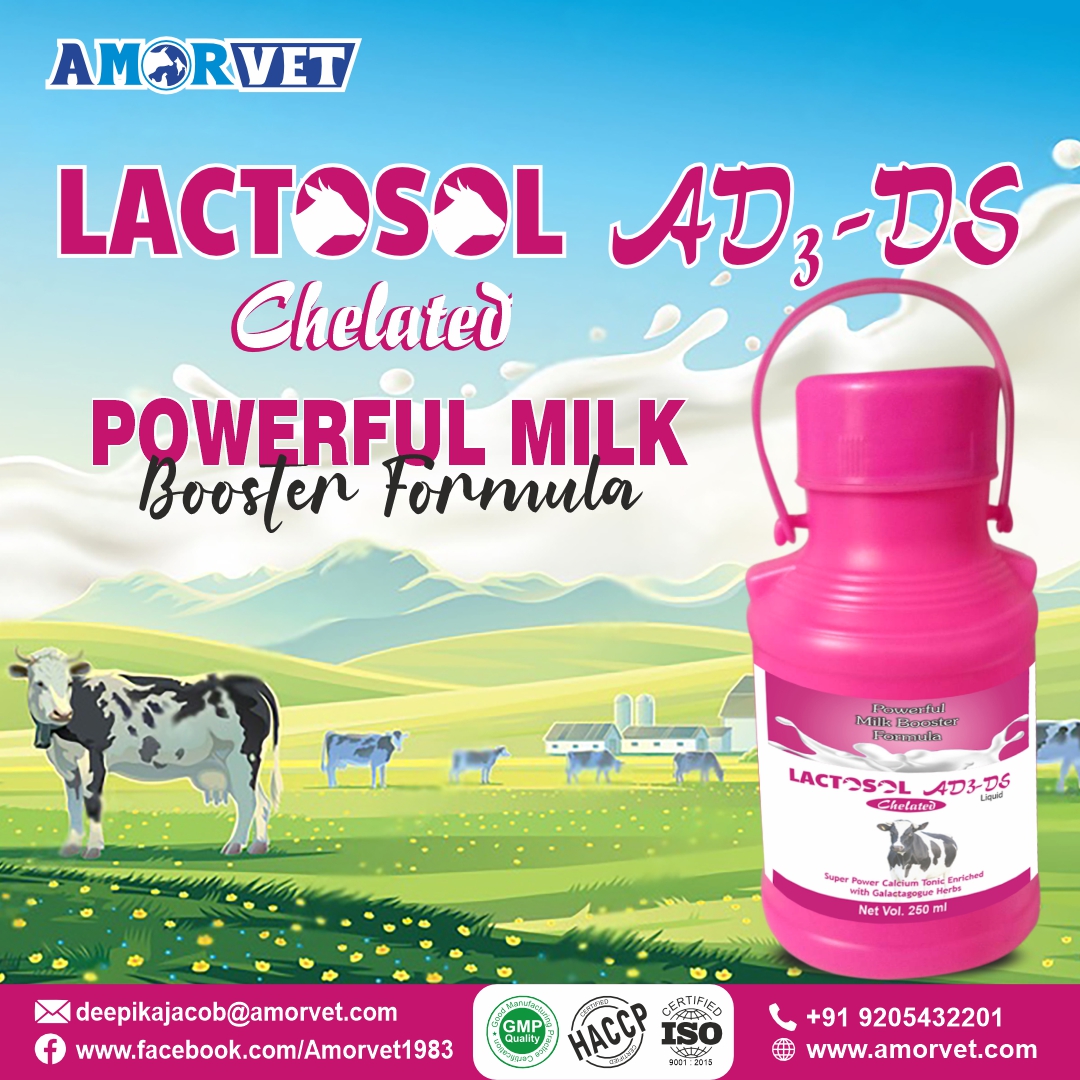 LACTOSOL AD3-DS Chelated Liquid Super Power Calcium Tonic Enriched with Galactogogue Herbs. Powerful Milk Booster Formula.
Registered Now +91-9599819569
#amorvet #amorvetindia #animalfeedsupplement #cattlefeedadditives #Lactosol #LactosolLiquid #calcium #LactosolChelated