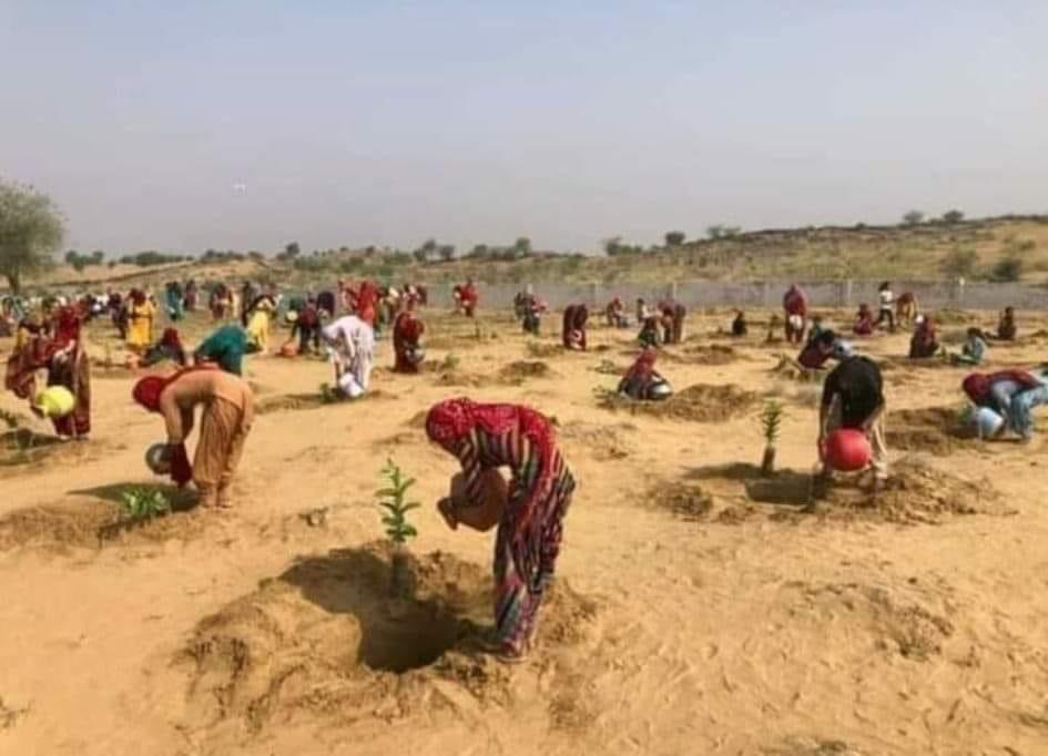 HabitatHealer's tweet image. 🌱🌍 Making Every Day #EnvironmentDay! 🌳💚

We&apos;re on a mission of #SDGAction, and the results are breathtaking! On June 17th, 2021, we planted saplings in the desert villages of Gajuvas, Churu district, Rajasthan, to mark Drought and Desertification Day. Today, those saplings…