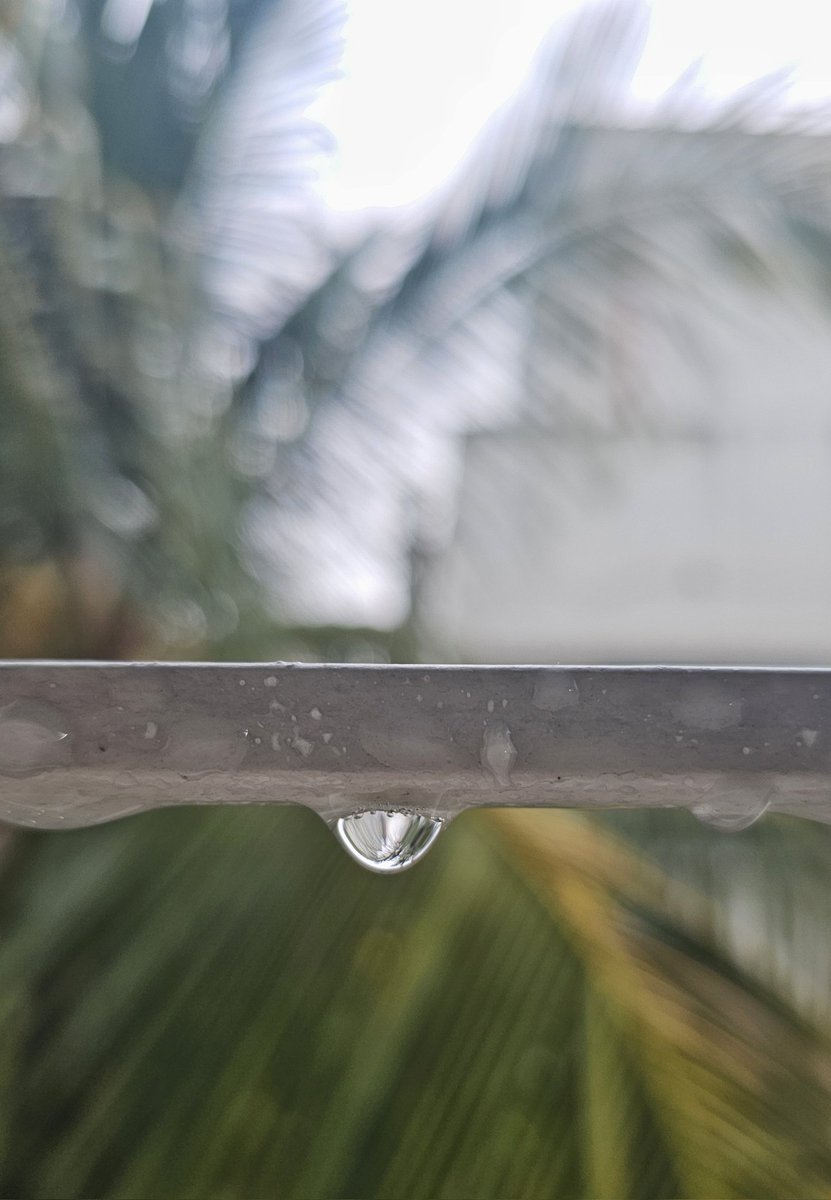 मुसळधार!!!!! सुखsss !!! 
कांदा भजी category नाही, पण चहा category तर नक्कीच... 

#Rains 
#droplets