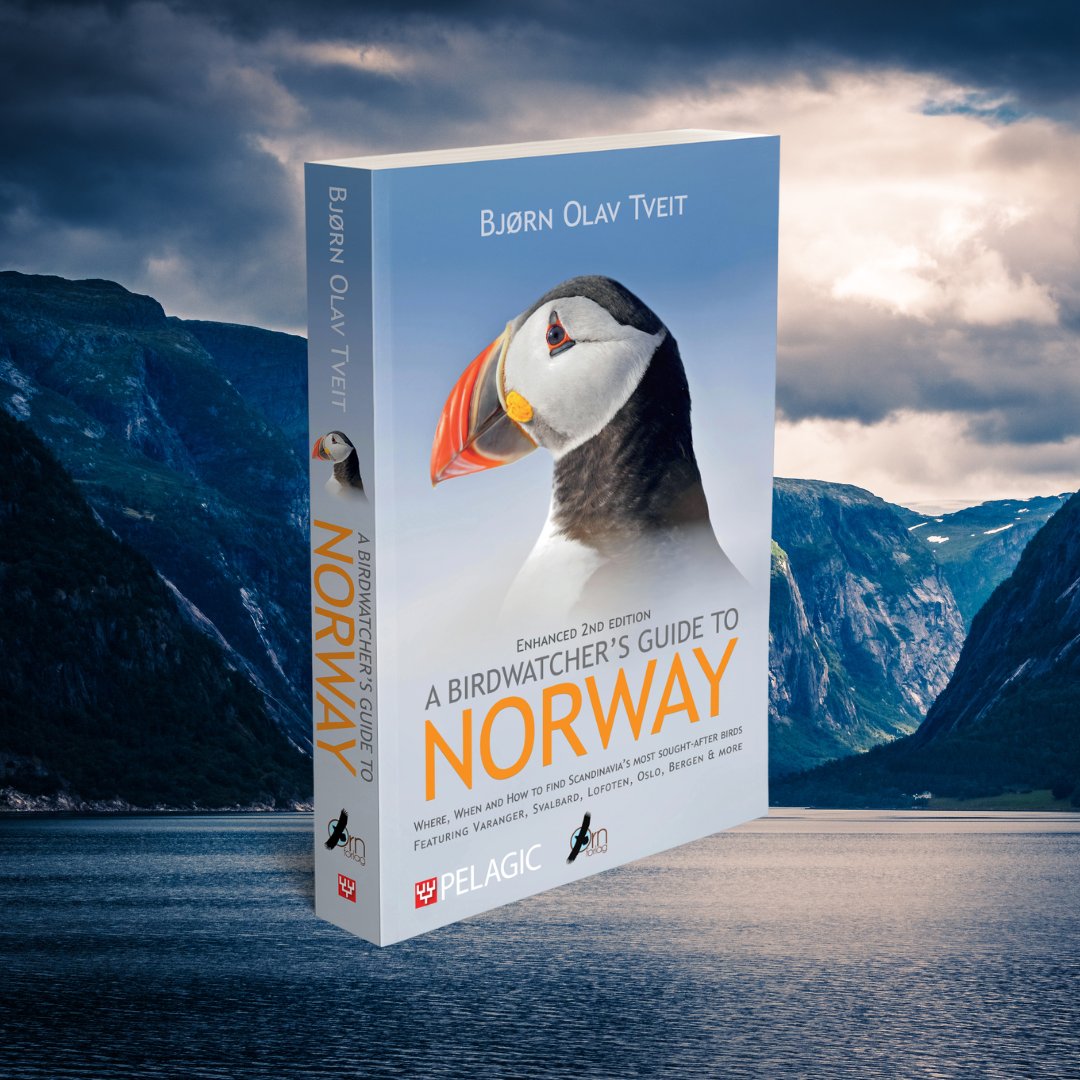 Coming soon! A Birdwatcher's Guide to Norway by Bjørn Olav Tveit 🇳🇴 With 265 photos, 95 maps and comprehensive information about each site, this book is an essential guide for anyone planning a trip to watch birds in Norway or Svalbard. 📖 Learn more ➡️ loom.ly/0cALpfo