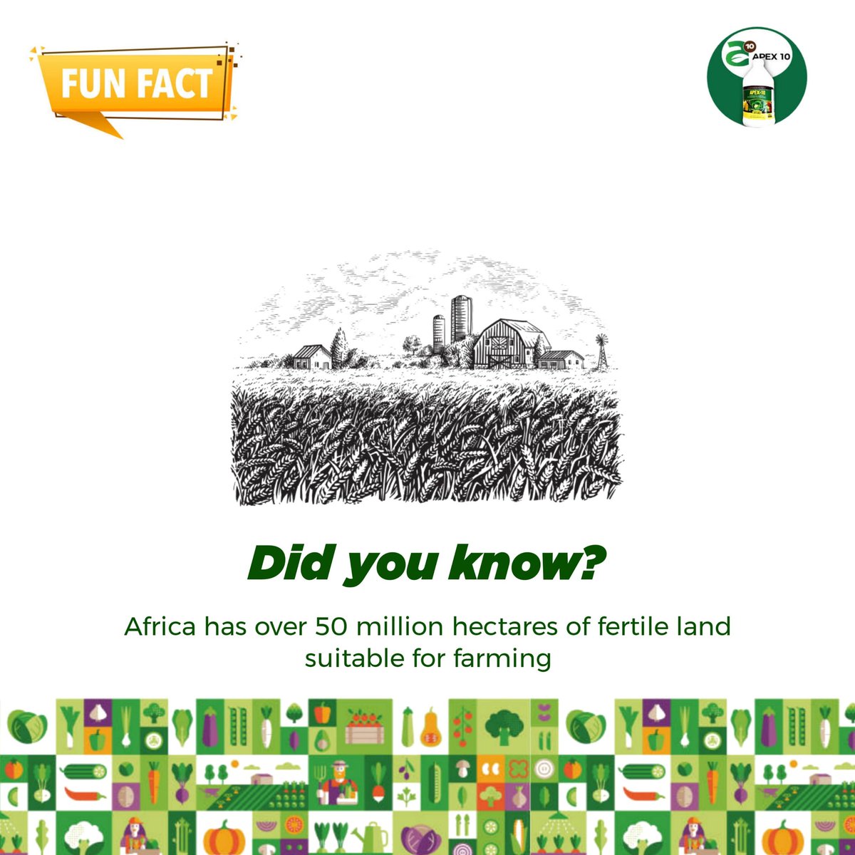 OVER 50 MILLION HECTARES OF FERTILE LAND? 
African governments aren’t taking enough advantage of this gift we have. What do you think about this fun fact? Retweet to educate someone 🤗
#FunFactFriday #TGIFriday #agriculture #farming #Africa