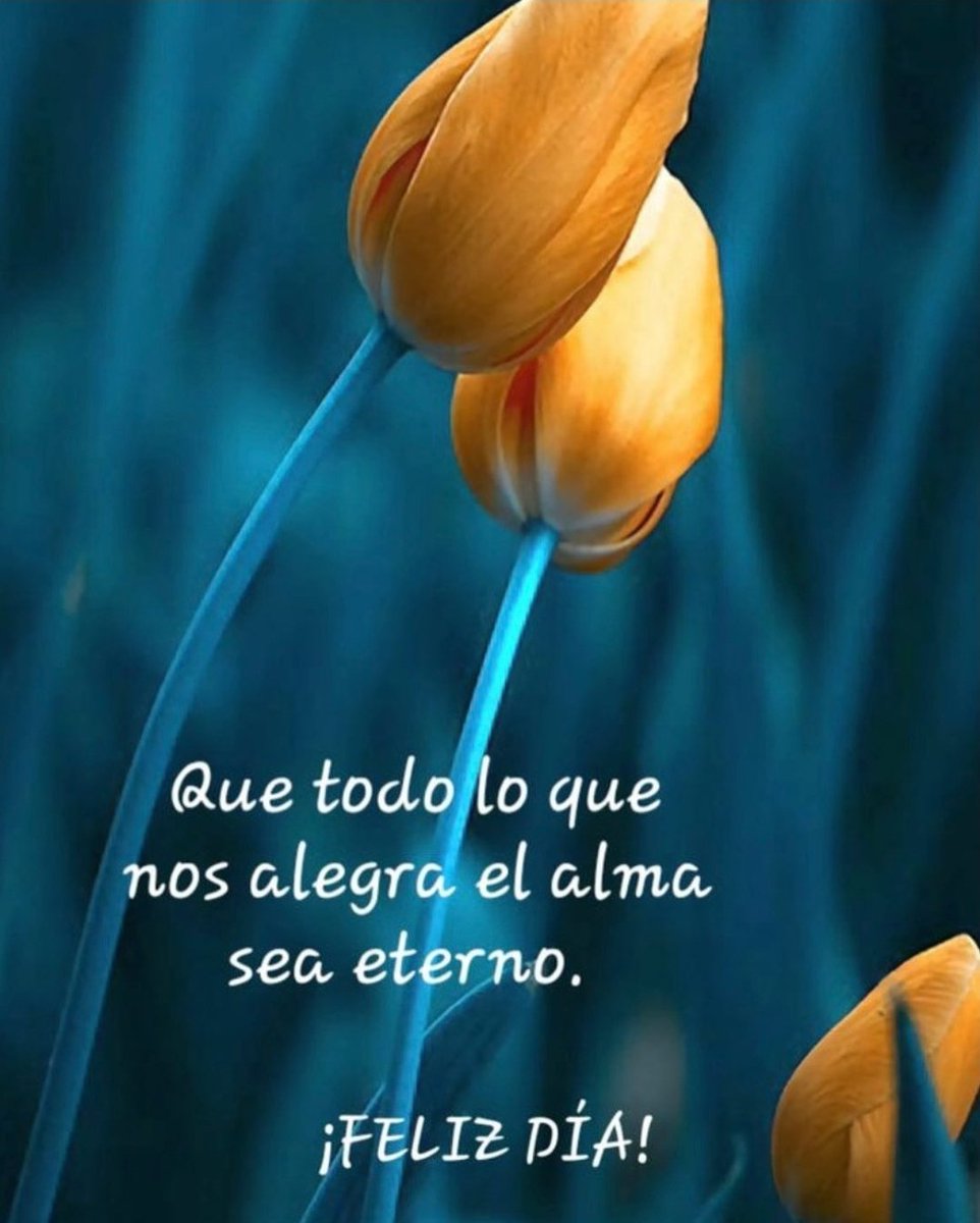 #FelizDía ✨️ #BuenosDíasATodos 🤗☕️🍫 Que sea eterno, lo nos alegra el #alma 🦋