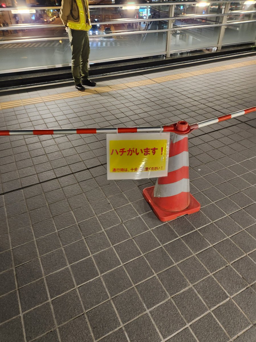 nagonodon's tweet photo. 田町にハチがいます。 https://t.co/UrMd8uxv3M