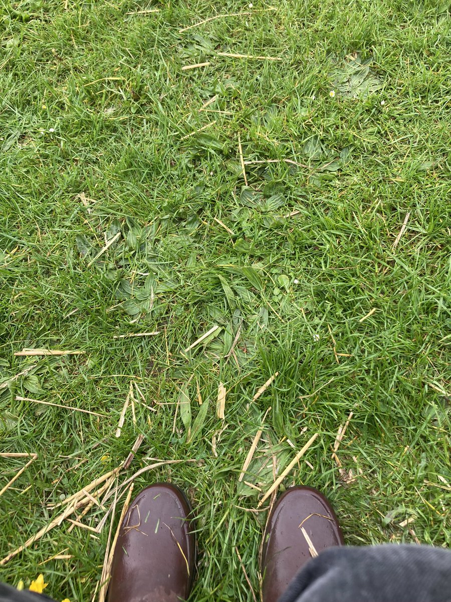 SocResCourses's tweet photo. Interested in object, mobile and elite interviewing? Join our one day course on Advanced Qualitative Methods coming up on 20 May to refresh or develop your skills and practice @UniOfSurrey with @JillLTimms @SurreySociology. More details and book here:  https://t.co/d3y26ulI7h https://t.co/e2Jcg17T1m