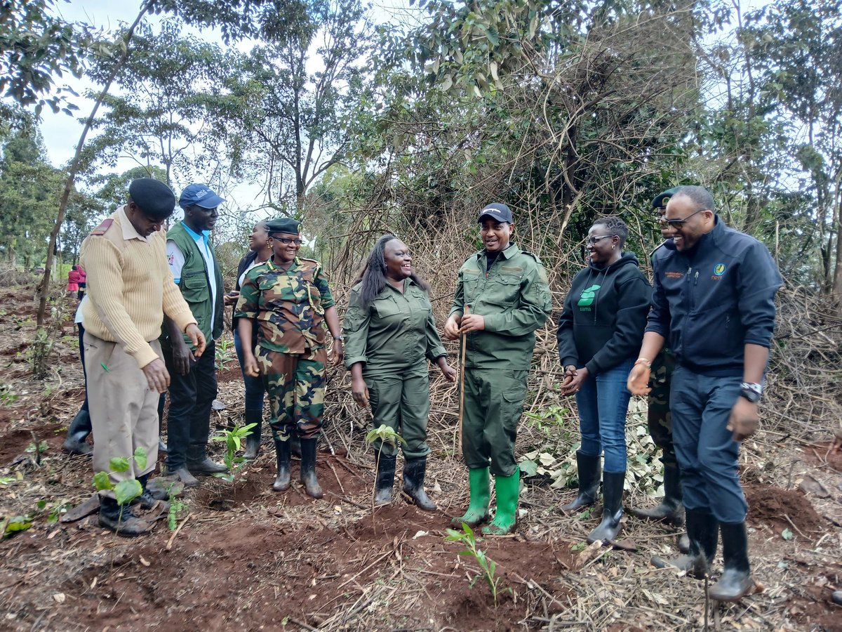 The @NemaKenya Director General, Mamo B. Mamo, EBS planting trees at the Ngong Forest-Bomas Block. He is flanked by UNEP Representative, Gertrude Angote and NEMA staff. #NationalTreeGrowingDay