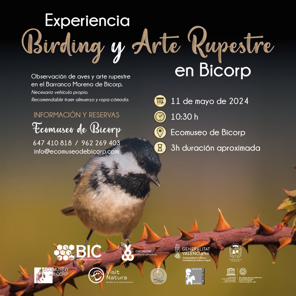 Ven a conocer las aves y el arte rupestre del Macizo del Caroig con @VisitNatura y @Arquivolta_ps. ¡No te quedes sin tu plaza!

🗓️11 de mayo
🕙10:30h
📍Ecomuseo de Bicorp
⚠️Reserva previa necesaria

#patrimoniomundial #visitasguiadas #ornitologia #arterupestre #UNESCO