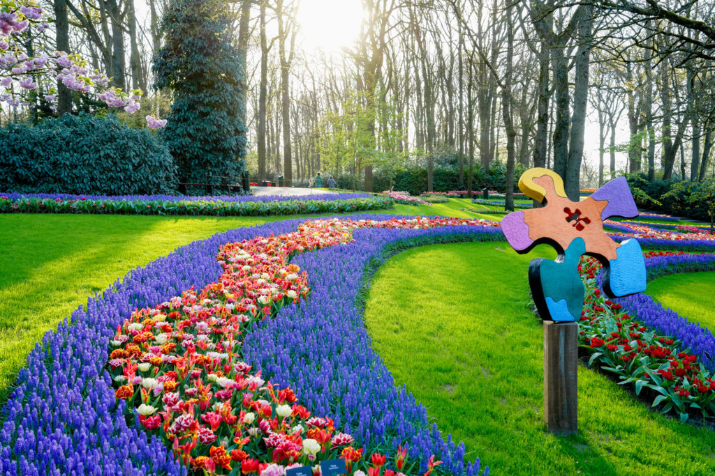 Tulips!! We love tulips! The park is closed now and will re-open in 2025. We are sooo thankful for these pictures. It gives us the chance to dream away...

#visitkeukenhof #flowers #Dreams