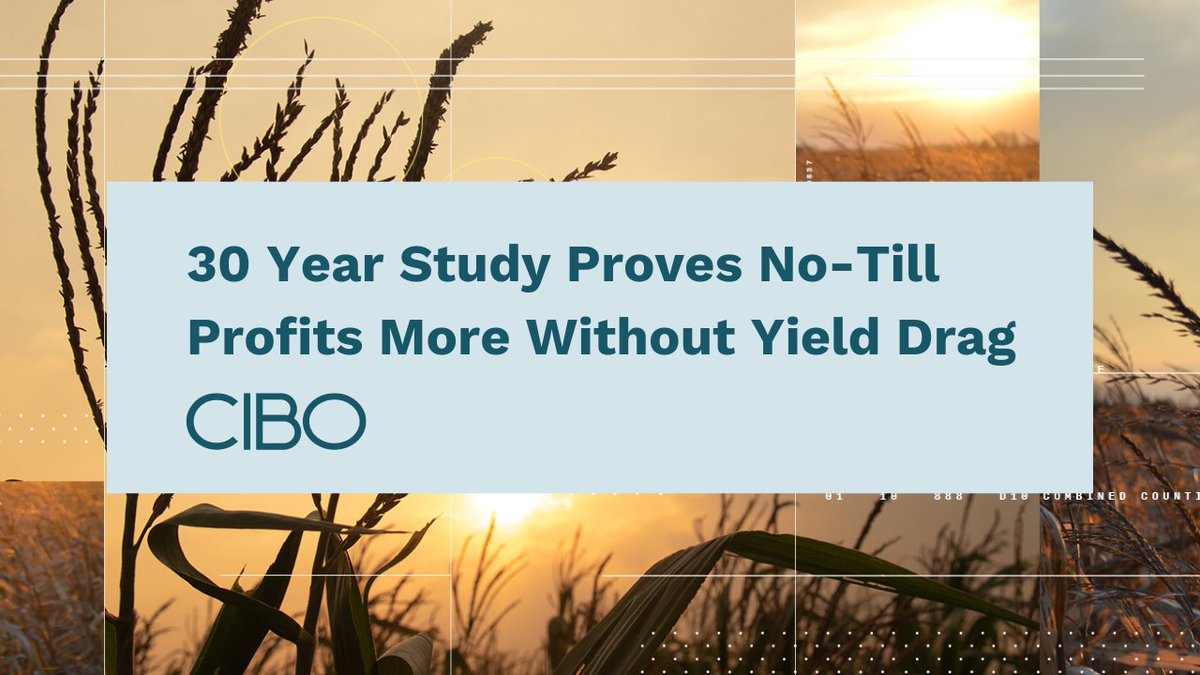 No-till farming is not just environmentally friendly, it's also incredibly profitable! Discover how decades of research prove that no-till practices lead to higher returns for #farmers without sacrificing yield. #SustainableFarming #ProfitableAg ow.ly/GEFT50RAY0z