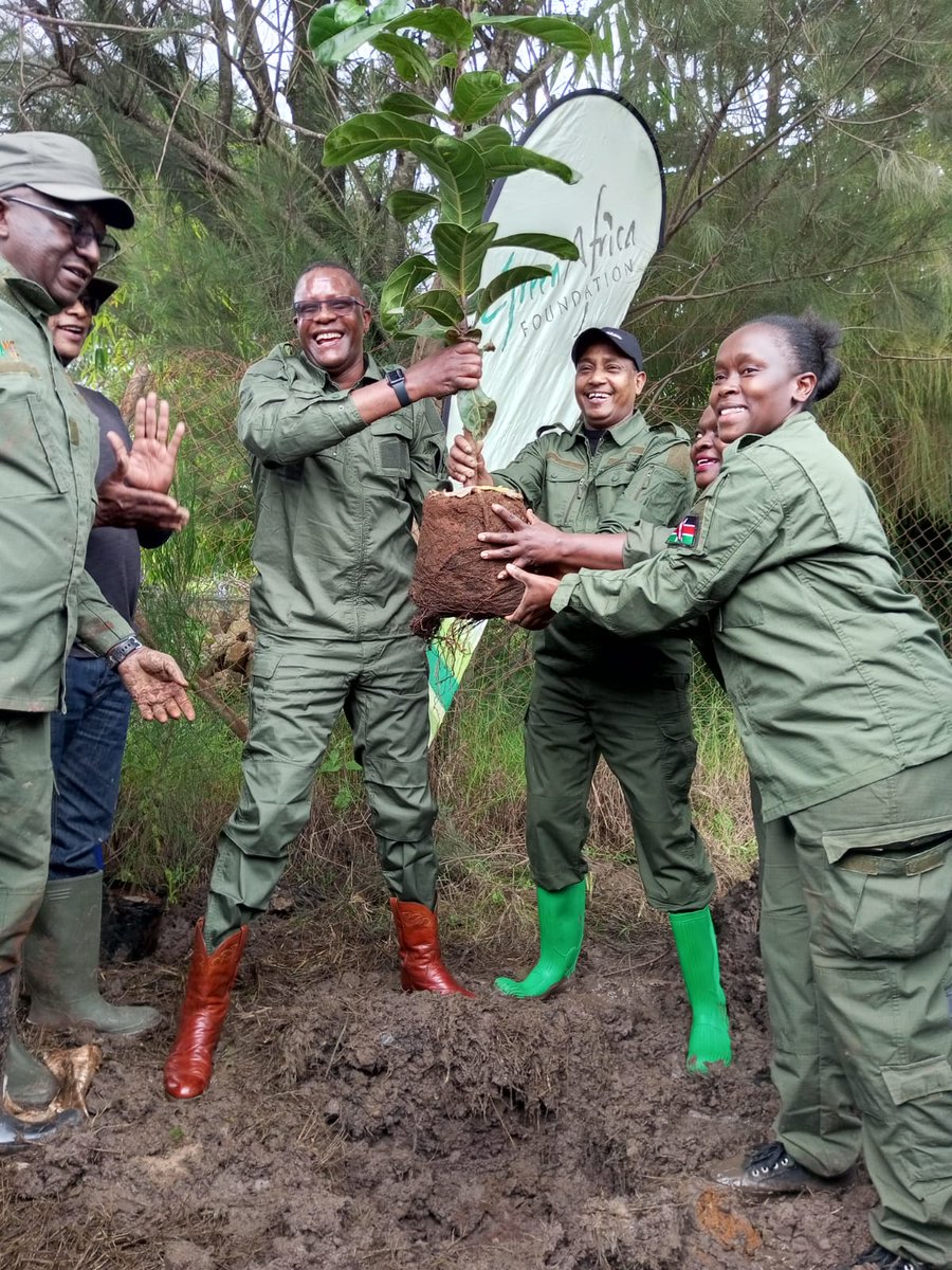 A total of 8,000 trees were planted during the ceremony led by the CS for Information, Communication and Digital Economy, Eliud Owalo at the CITAM Karen and Ngong Forest-Bomas Block towards #NationalTreeGrowingDay @Environment_Ke