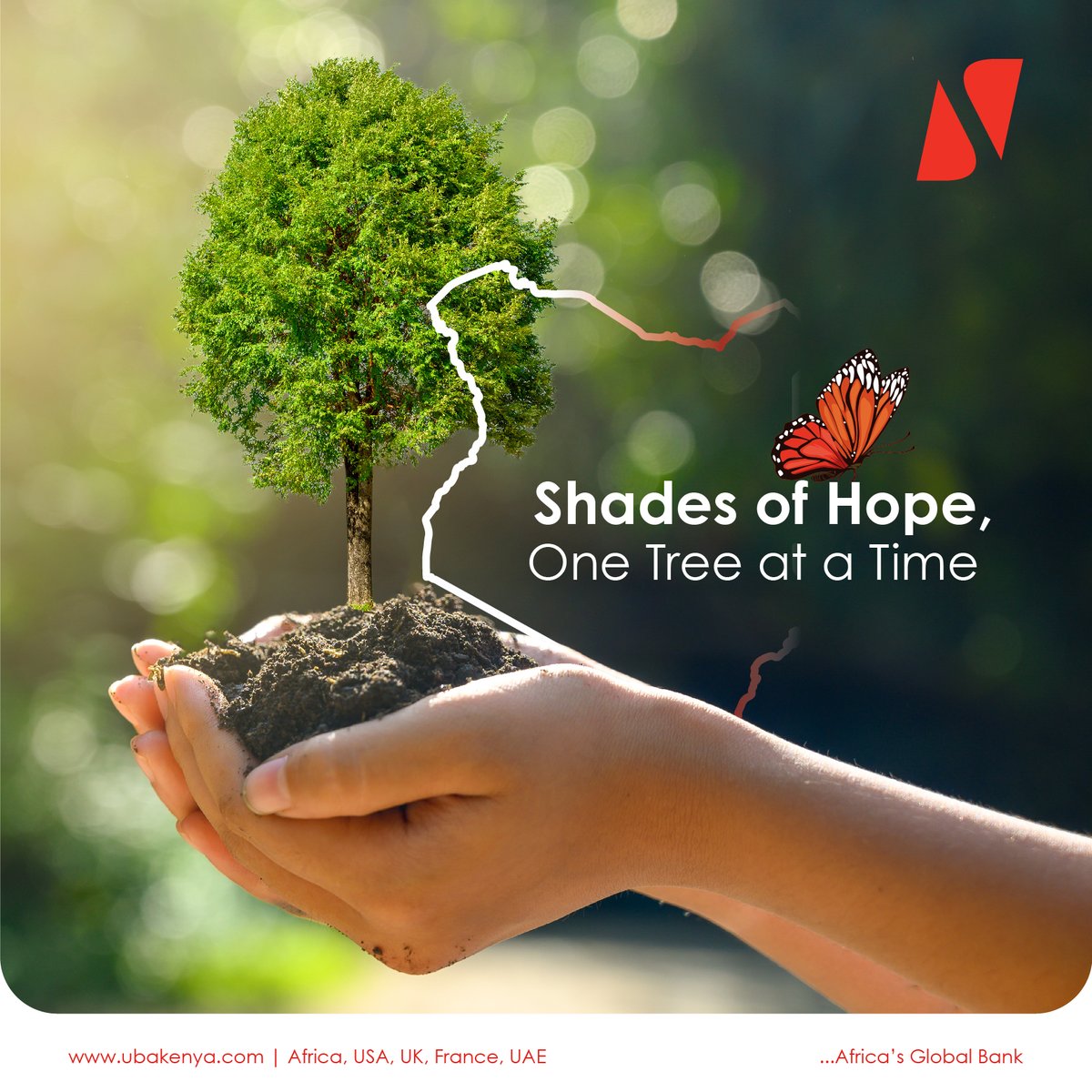 Today, UBA Kenya joined hands with @Karurafriends (Friends of Karura) for a Tree Growing initiative at Karura Forest! Together, we're painting shades of hope, one tree at a time. 

Let's keep nurturing our planet for a greener, brighter future!  
#UBAKenya 
#FriendsOfKarura