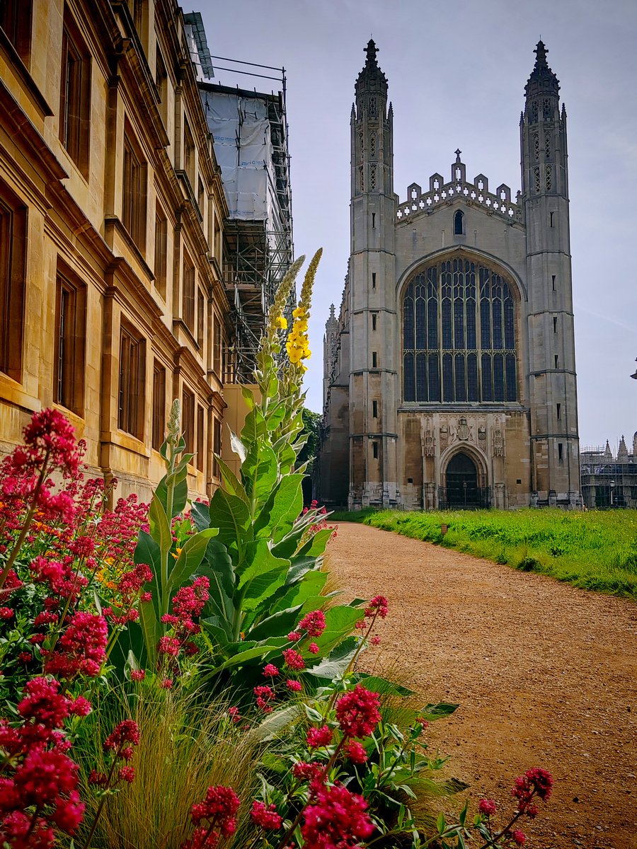King's College chapel, Cambridge.
.
.
.
#garden #cambridge #kingscollege #chapel #kingscollegechapel #england #cambridgeuniversity #photography