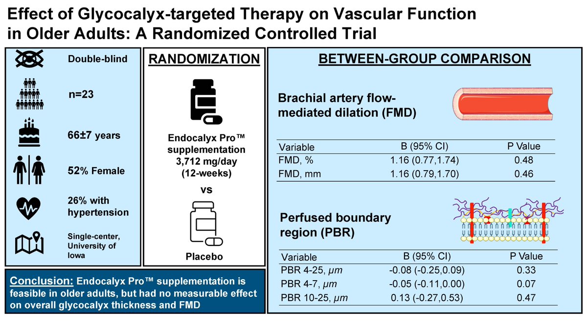 #ArticlesInPress: Effect of #Glycocalyx-targeted Therapy on Vascular Function in Older Adults: A Randomized Controlled Trial Colin J. Gimblet, et al. ▶️ow.ly/U3om50RBefe #JAPPL #Endothelium @GaryPie09