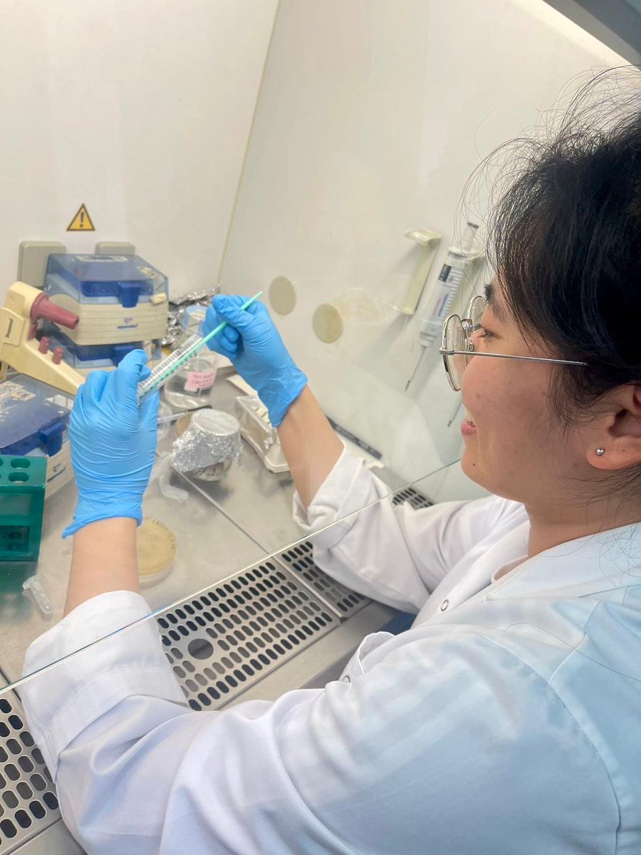 Systems Biotechnology Group (@systemsbiotech) on Twitter photo This week we have received Hairong Ma, coming from our <a href="/futurenzyme/">FuturEnzyme</a> ‘s partner @BangorUniversity (School of Natural Sciences, Peter Golyshing group), and will be with us around a month performing some experiments for her PhD. We hope she enjoys her stay here and the nice weather! This week we have received Hairong Ma, coming from our <a href="/futurenzyme/">FuturEnzyme</a> ‘s partner @BangorUniversity (School of Natural Sciences, Peter Golyshing group), and will be with us around a month performing some experiments for her PhD. We hope she enjoys her stay here and the nice weather!