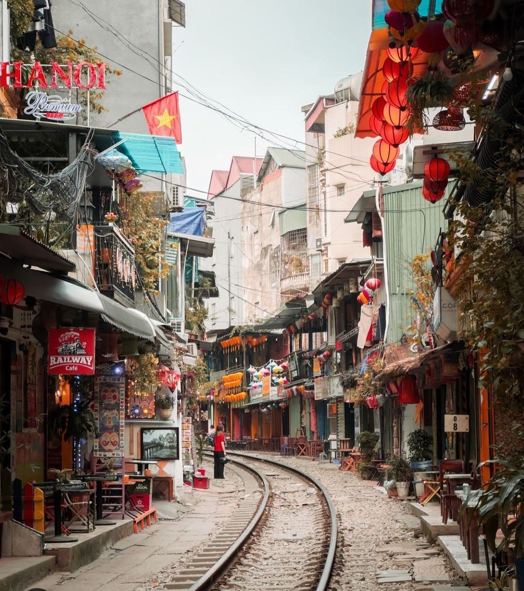 The Blueberry Trails tweet media