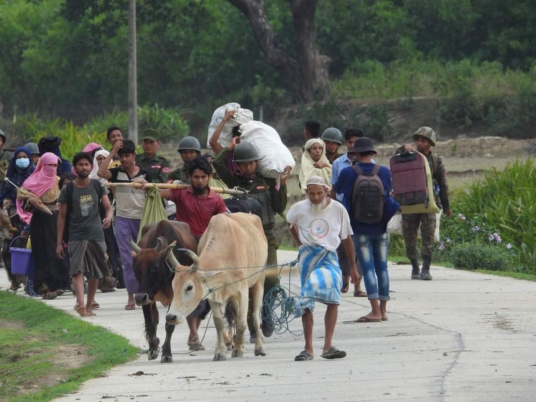 3 rohingya shot dead by Arakan Army (AA) @TwanMrat inforn of their family for refusing to take false propaganda photos . 
#rohingya #saferohingya 
Credit: Phone call