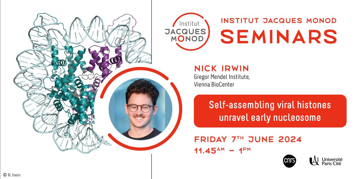 #SaveTheDate 🗓️7th June 📍Institut Jacques Monod Invited by the @DuharcourtLab, Nick Irwin will give an Institut Jacques Monod Seminar on the theme 'Self-assembling viral histones unravel early nucleosome evolution' ➡️urlz.fr/qCsx