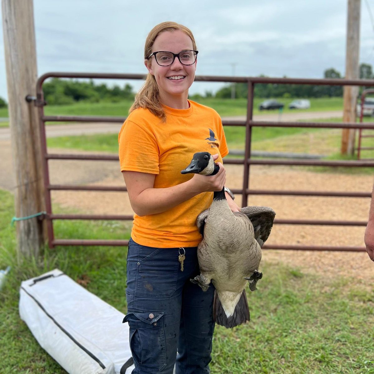 What are our students doing over the summer? Wildlife Science student, Amber Ingleburger, will be a research technician on a tri-colored bat research study in southwest AR with the Willcox Lab at the University of Tennessee Knoxville. #SkyhawkSummer #HighImpactLearning #BeOneUT