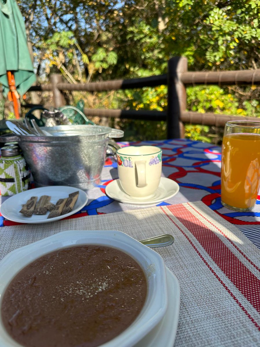 Starting the day the true African way! 🌍☀️ 

Breakfast at the Treetops Restaurant: savoring Maltabela (African sorghum) porridge amidst the serenade of chirping birds.

#AirportGameLodge #AGL #accomodation #travel #vacation #wildlife #selfcatering #AfricanBush #Calm #Birds