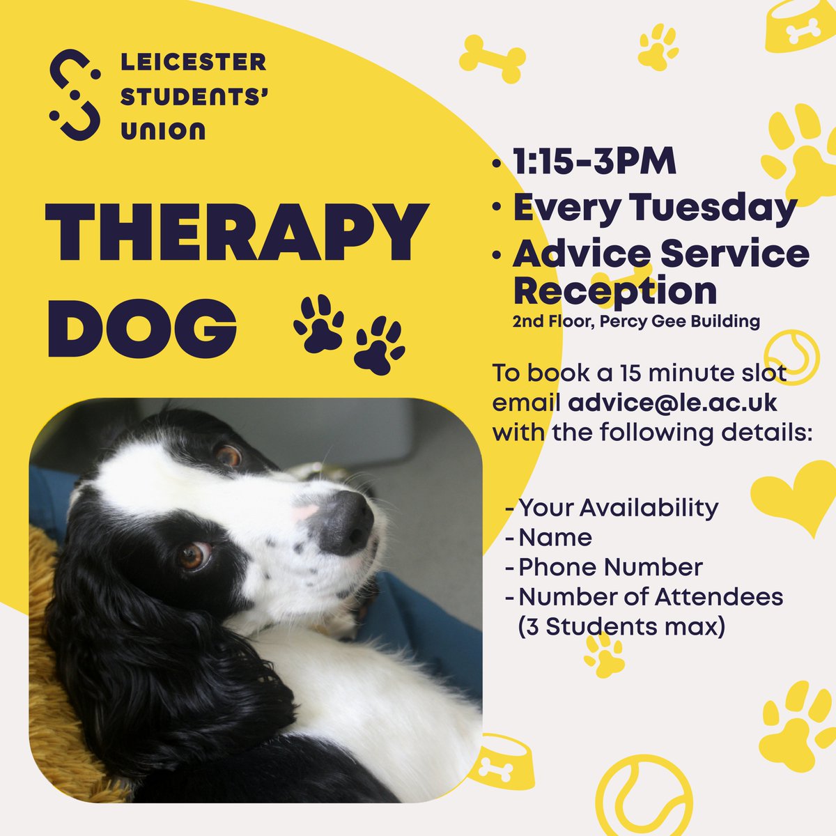 Leicester Students' Union Advice Service (@ulsuadvice) on Twitter photo Have you been to our Therapy Dog Clinic to see Ted yet?
We have slots available till the end of May!
Just email us at advice@le.ac.uk to book yours! Have you been to our Therapy Dog Clinic to see Ted yet?
We have slots available till the end of May!
Just email us at advice@le.ac.uk to book yours!