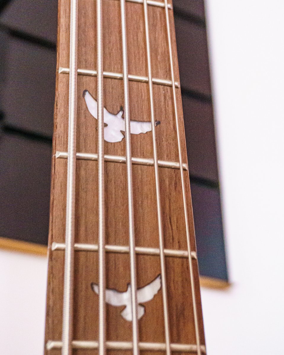 We love the Doves on the fretboard of our PDB 5-String Bass Guitar!  #lindoguitars #bassguitar #fretboardinlay