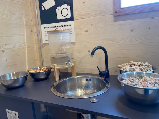 projekt_run's tweet image. Vielen Dank an alle Besucher:innen, die mit uns die Eröffnung des Showrooms gefeiert haben. Es gab einen tollen Austausch zwischen  den Entscheidungsträger:innen der Zukunft und der Projektleitung sowie Promovierende aus RUN. 
@agrarsysteme 
@UniHohenheim
@Uni_Stuttgart