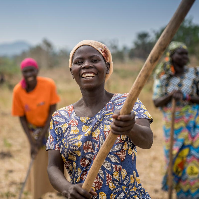 The Jujumbu farmers group, comprising both refugees and host community members, exemplifies unity🤝 in Lobule Refugee Settlement. With support from WFP, they're cultivating rice🍚 and vegetables🍅

#SelfReliance