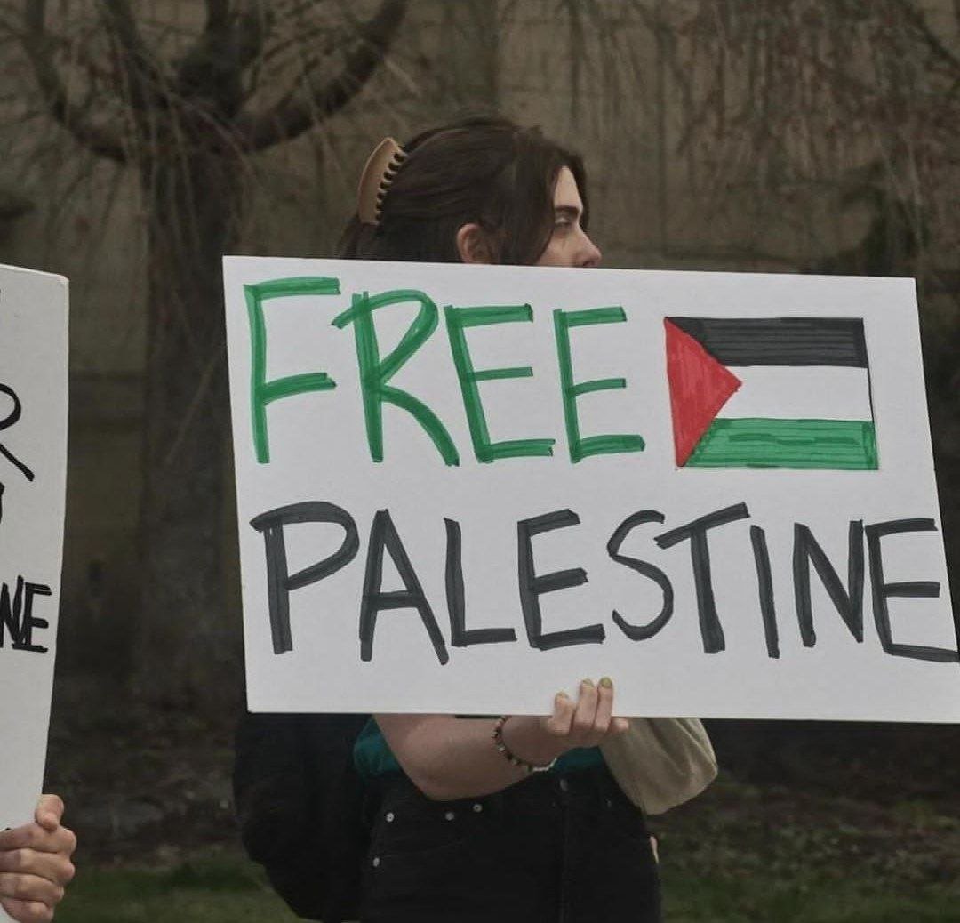 Naila Ayad🇵🇸 tweet media