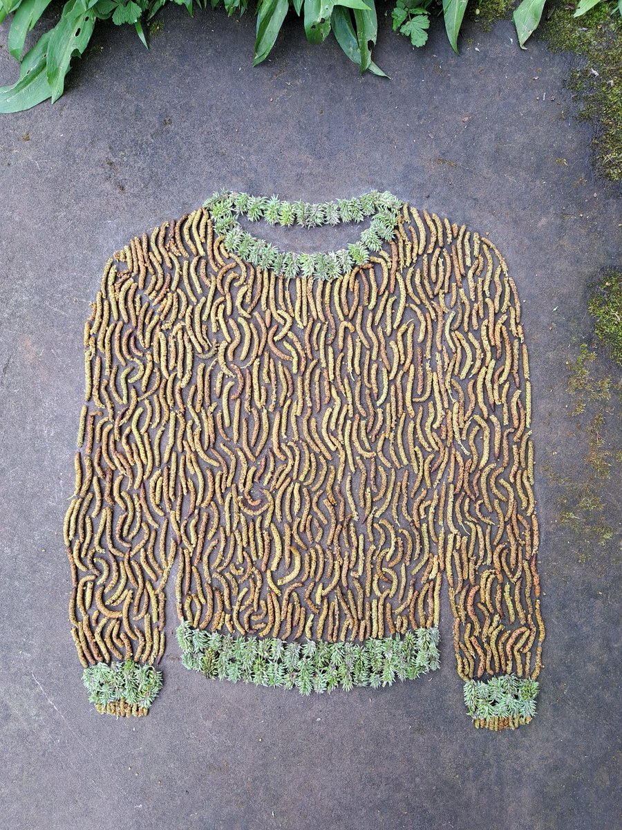 Spring Jumper. Silver Birch and Goat Willow Catkins. Yeathouse Station Platform. Cumberland. #spring #goatwillow #silverbirch #catkins #temporary #textures #sustrans #tracksoftheironmasters #cyclepath