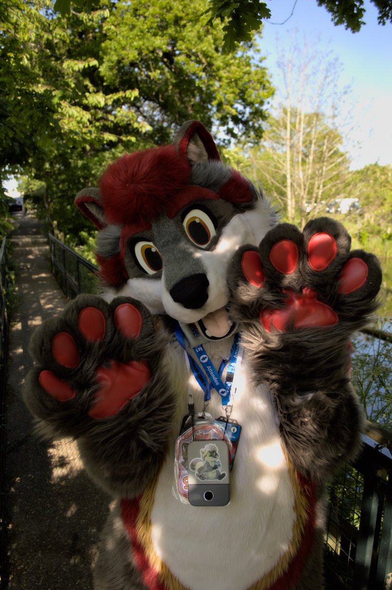 Getting those paws up for #FursuitFriday! 📸 ⁦@toralioger⁩ ✂️ ⁦@MadeByMercury⁩