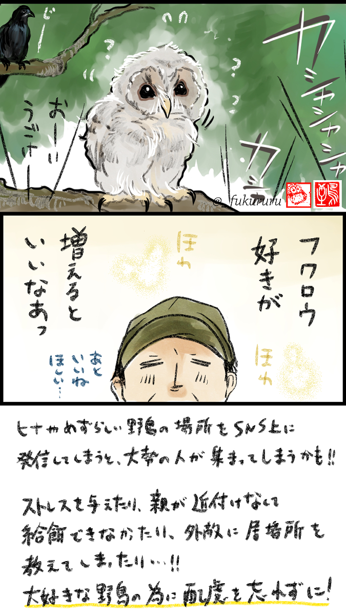 5月10日〜16日は #愛鳥週間 #バードウィーク 
かわいい野鳥のヒナや、子育て頑張る親の姿が見られる大事な季節です🦉
素敵な写真が撮れると共有したくなるものですが、バードウォッチング、野鳥撮影は適切な距離感と配慮を忘れずに楽しもうぜ同志達!
(↓クリックしてね) 