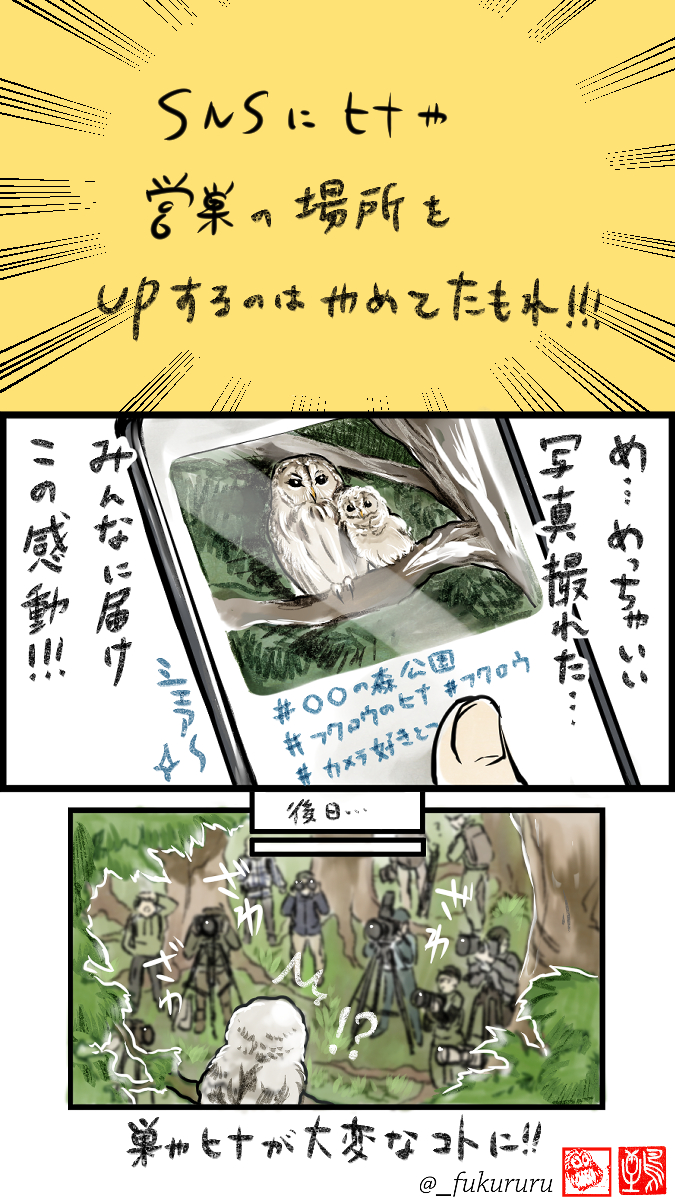 5月10日〜16日は #愛鳥週間 #バードウィーク 
かわいい野鳥のヒナや、子育て頑張る親の姿が見られる大事な季節です🦉
素敵な写真が撮れると共有したくなるものですが、バードウォッチング、野鳥撮影は適切な距離感と配慮を忘れずに楽しもうぜ同志達!
(↓クリックしてね) 