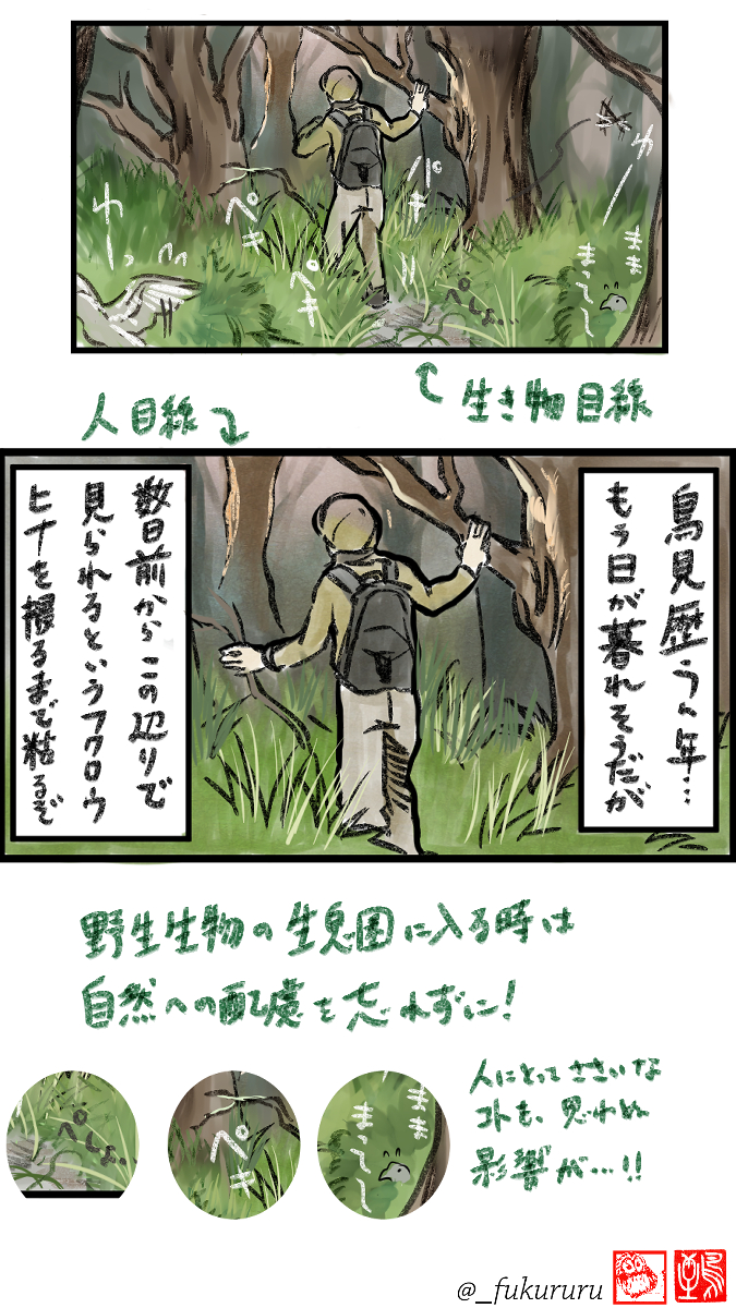 5月10日〜16日は #愛鳥週間 #バードウィーク 
かわいい野鳥のヒナや、子育て頑張る親の姿が見られる大事な季節です🦉
素敵な写真が撮れると共有したくなるものですが、バードウォッチング、野鳥撮影は適切な距離感と配慮を忘れずに楽しもうぜ同志達!
(↓クリックしてね) 