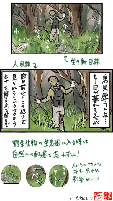 5月10日〜16日は #愛鳥週間 #バードウィーク 
かわいい野鳥のヒナや、子育て頑張る親の姿が見られる大事な季節です🦉
素敵な写真が撮れると共有したくなるものですが、バードウォッチング、野鳥撮影は適切な距離感と配慮を忘れずに楽しもうぜ同志達!
(↓クリックしてね) 