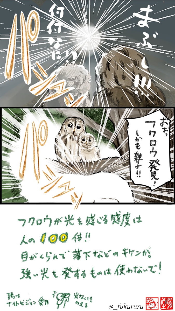 5月10日〜16日は #愛鳥週間 #バードウィーク 
かわいい野鳥のヒナや、子育て頑張る親の姿が見られる大事な季節です🦉
素敵な写真が撮れると共有したくなるものですが、バードウォッチング、野鳥撮影は適切な距離感と配慮を忘れずに楽しもうぜ同志達!
(↓クリックしてね) 