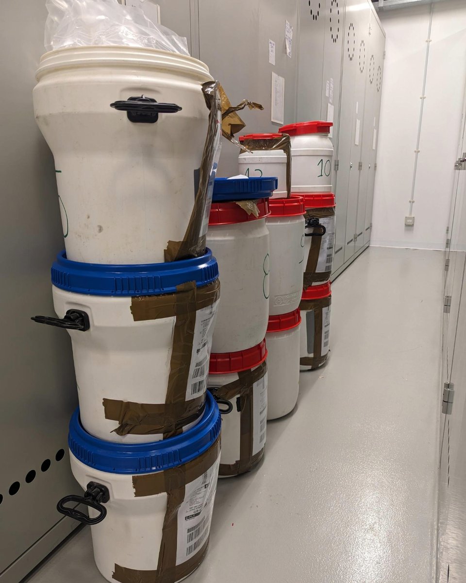 Largest donation of #Starfish the Museum has ever received. From the Marine Biology Lab <a href="/ULBruxelles/">Université libre de Bruxelles</a>. A very happy #Echinoderms curator <a href="/Hugh_Carter_/">Hugh Carter</a> now has the job of organising all of this.

How many starfish do you think was in this incredible donation?

#NaturalHistoryMuseum
