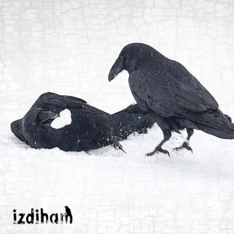 Burası dünya.
Burada işler hep yarım ka