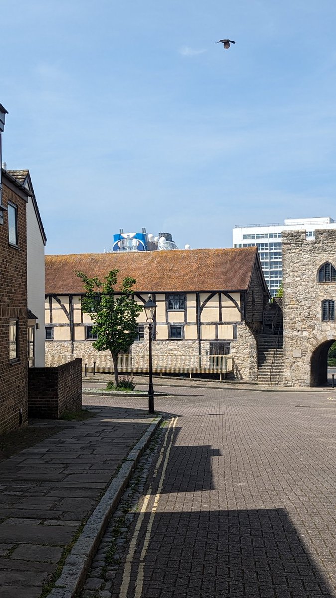 I spy Anthem of the Seas.... @MyRoyalEurope towering over Westgate Hall in the Old Town 🌞🌊

#Southampton #VisitSouthampton