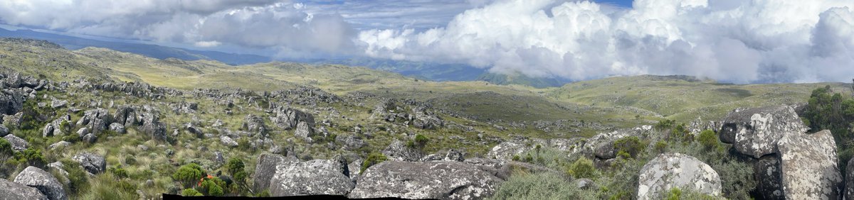 Mt Nyangani ~ Panoramic view