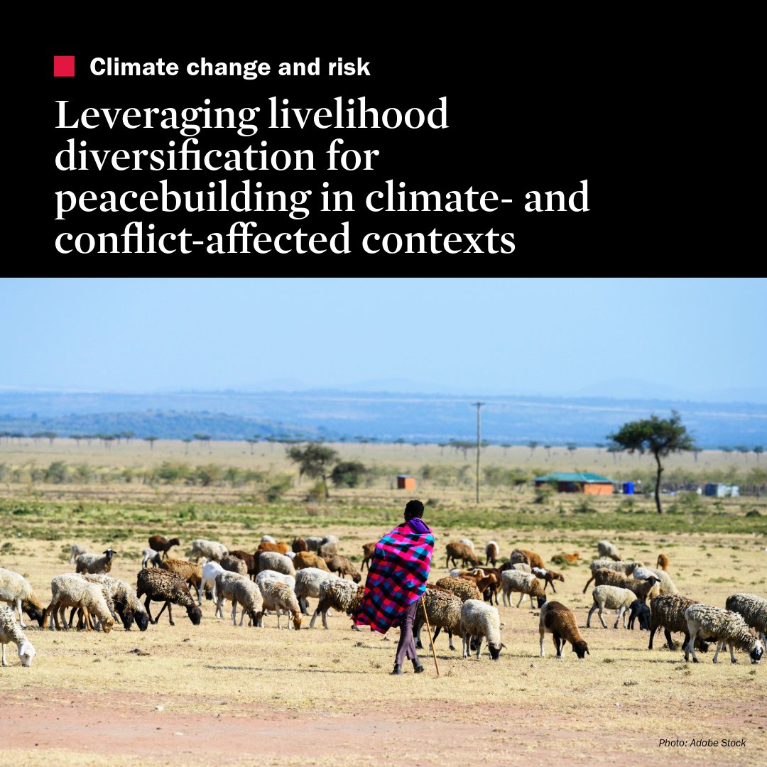 ‘Although #livelihood diversification and women’s economic empowerment can contribute to #peacebuilding, these strategies have not been used to their full potential as peacebuilding tools’—Read more ➡️ doi.org/10.55163/DVDW9… #MistraGeopolitics