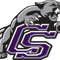 Texas Prep Softball tweet media