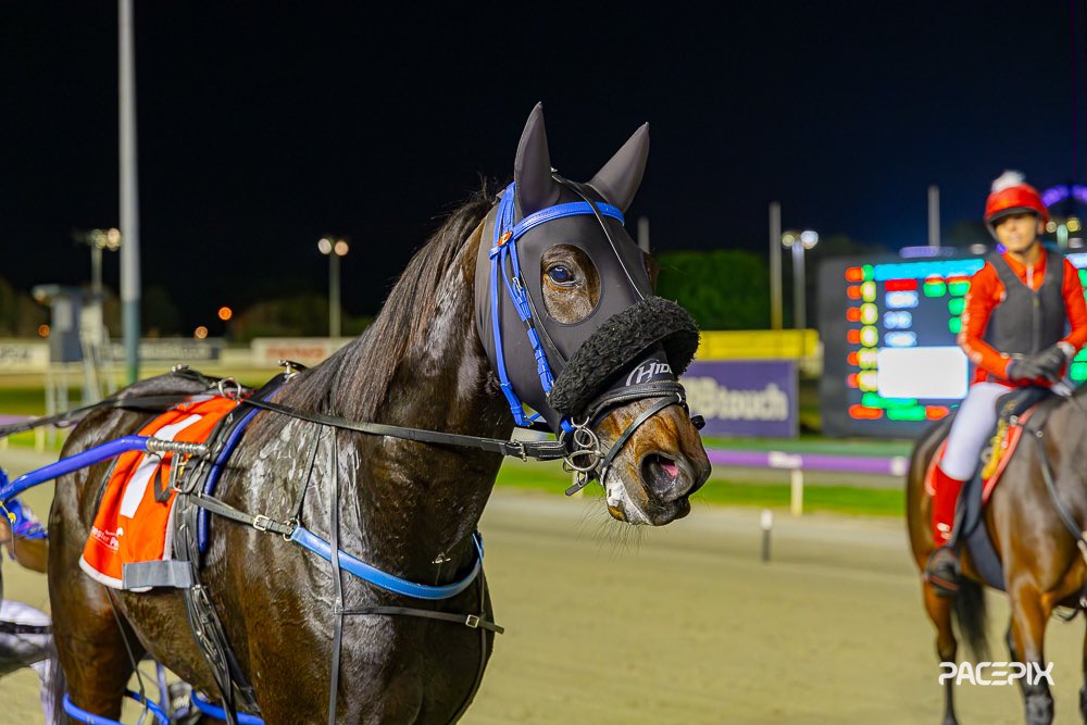 Brickie’s Dream gets favourite punters back into the action after leading all the way… #GloucesterPark | 📸: @Pacepix_Au