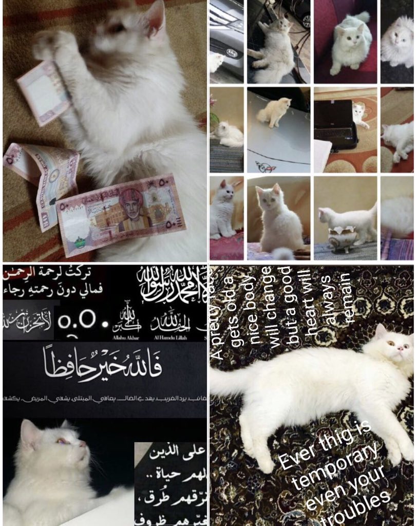 alii0man's tweet photo. فسيكفيكهم الله وهو السميع
لا احمل اي سوء وسوف اظل اكن الخير ومن يخطأ أو يسيء له مني العذر إمارس ماتربيت عليه اتعامل بالاسلام لن اندم على أحد وقد منحته ذات يوم ثقتي ولَم يقدرها ستعامل بنيه حسنه سأفتخر
أني مؤمن بالقدر وإحمل حسن الظن
#صباح_الخير #مساء_الخير #يوم_الجمعة
#يحدث_الآن https://t.co/GfPGZdEH1L