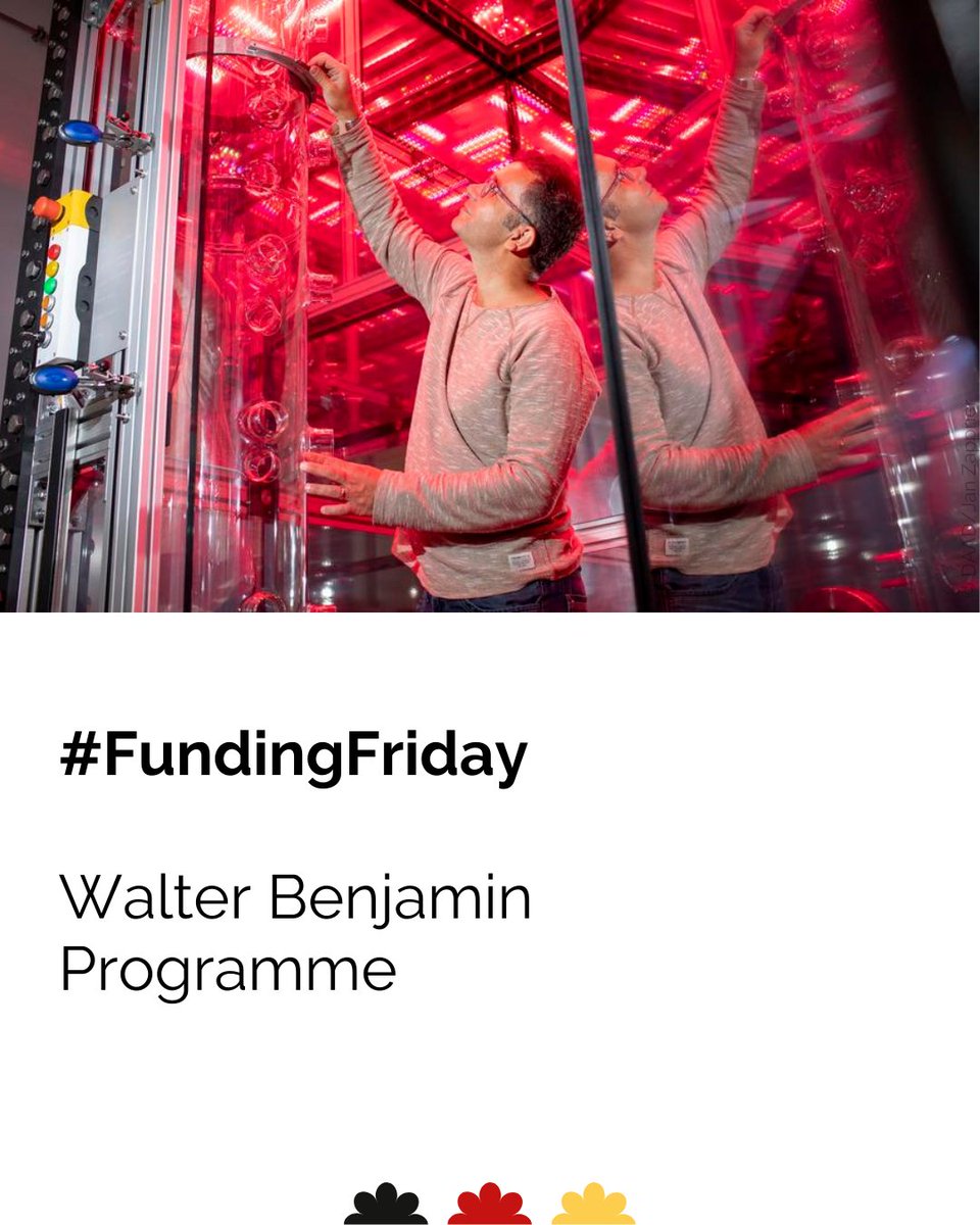 🔬📖 Carry out your independent #Postdoc project in 🇩🇪 with funding from the Walter Benjamin Programme! The programme offers excellent opportunities to develop your independent research profile at an early stage. Learn more and apply here 👉sohub.io/tj2m #FundingFriday