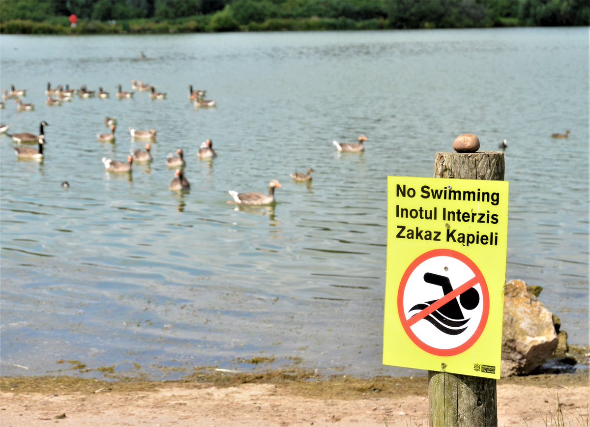 There have been reports of @NFFC fans jumping into water after winning recent football matches...⚽ We ask that you don't jump into open water‼️ You never know what is beneath the surface, and entering open water after drinking alcohol can severely impair your movements.