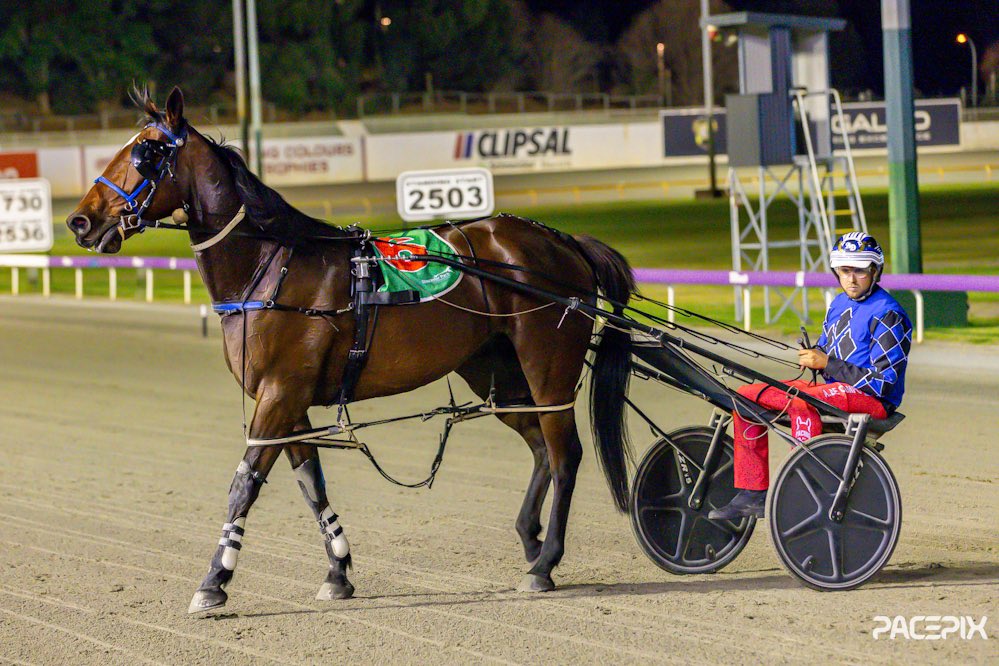 Dominus Factum was well driven by Aiden De Campo to claim victory in The West Australian Pace… #GloucesterPark | 📸: @Pacepix_Au