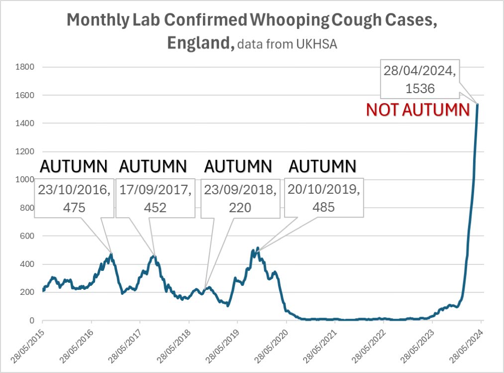 Things are not going well with whooping cough (pertussis). Childhood vaccinations plummeting in the UK 🇬🇧, and kids also have weakened immune systems post-COVID. And it’s not even autumn 🍂. HT @1goodtern