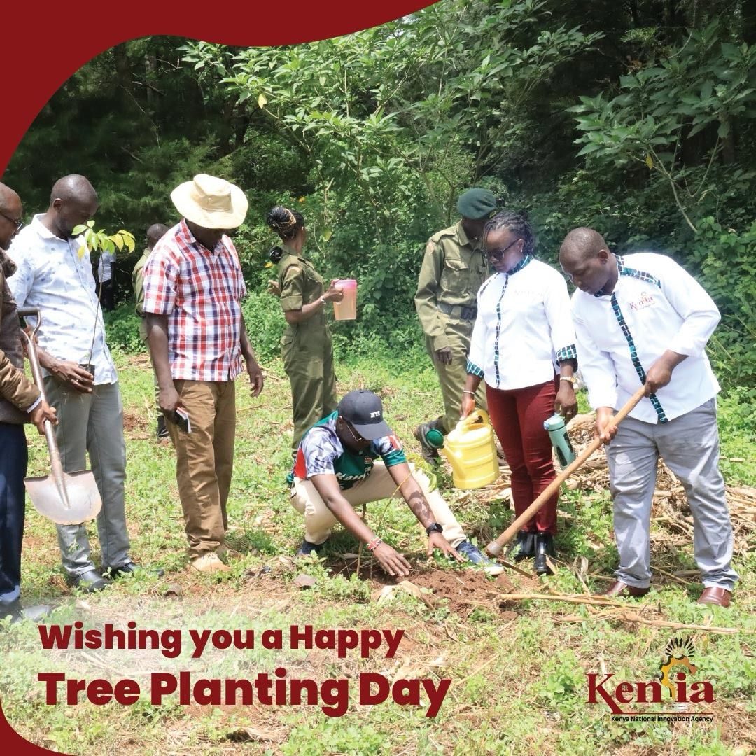 Happy National Tree Planting Day! As we commemorate this day, let us reaffirm our dedication to safeguarding our planet and ensuring a greener, more sustainable future for generations to come. #15BillionTrees #JazaMitiNaGava #JazaMiti
