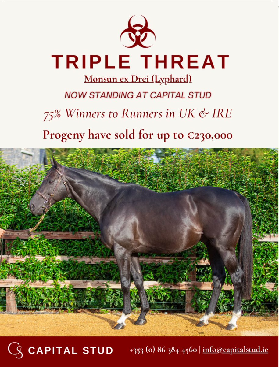 TRIPLE THREAT✅ one of the most exciting additions to Irish NH stallion ranks. 👉🏻From a first crop of 39 foals, he has sired two Grade 3 winners in Ireland and the UK. 👉🏻6 Black Type Performers. 👉🏻Recent P2P winner Drop A Threat sold to Gigginstown and @WillieMullinsNH.